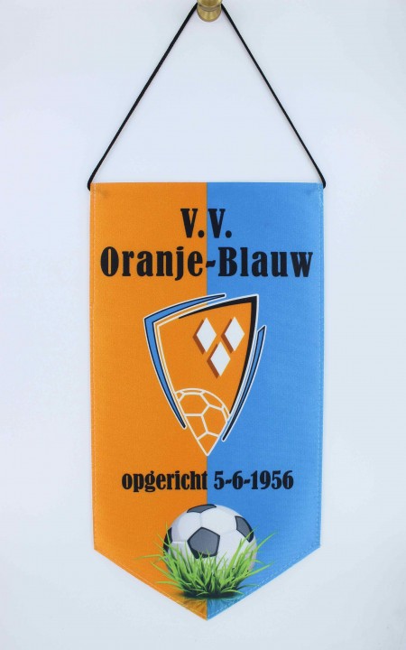 Fast-delivery pennant full colour 13x25