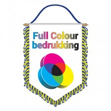 Chevron pennant full colour 24x35